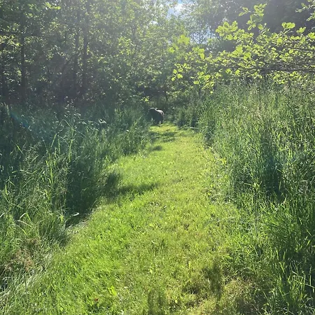 Apartment The Cowshed *